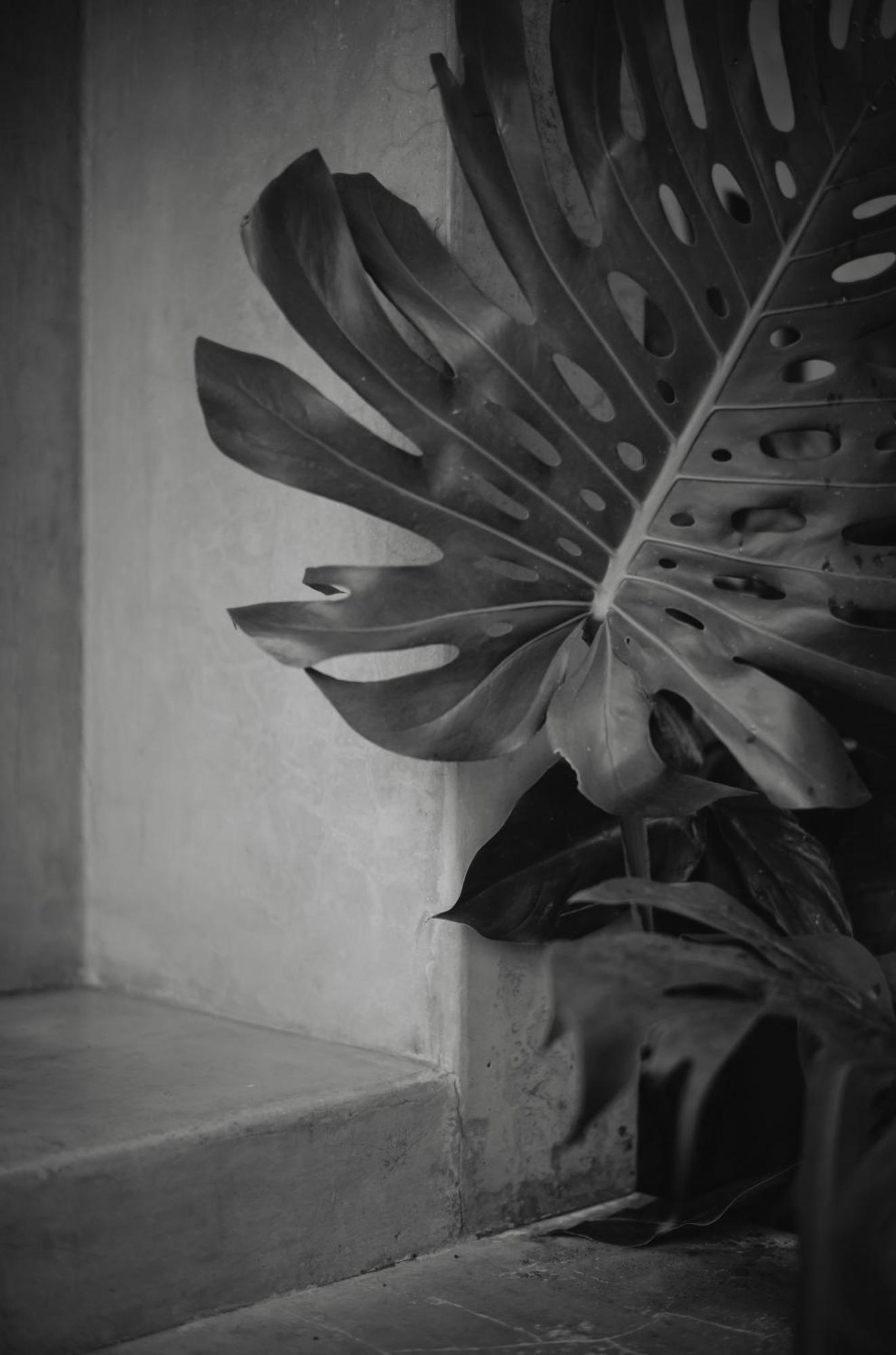 Anzan Atitlan Bed & Breakfast San Marcos La Laguna Exterior foto